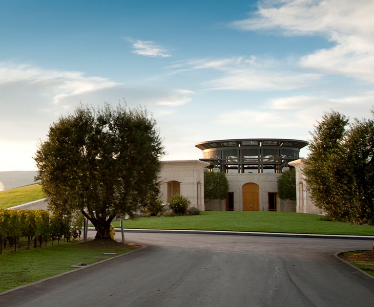 Spotlight on Wine with Opus One