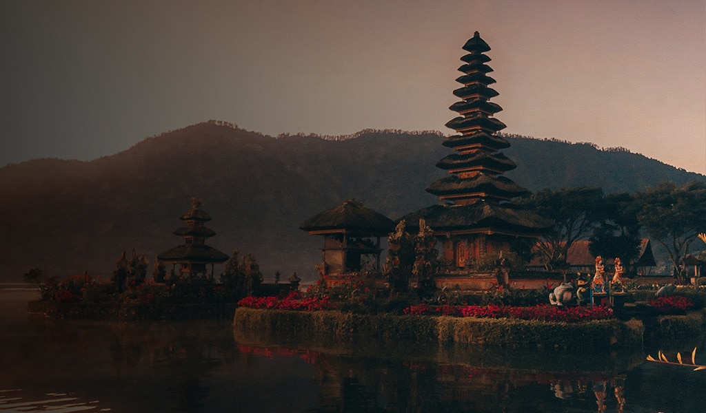 Asia and the Pacific