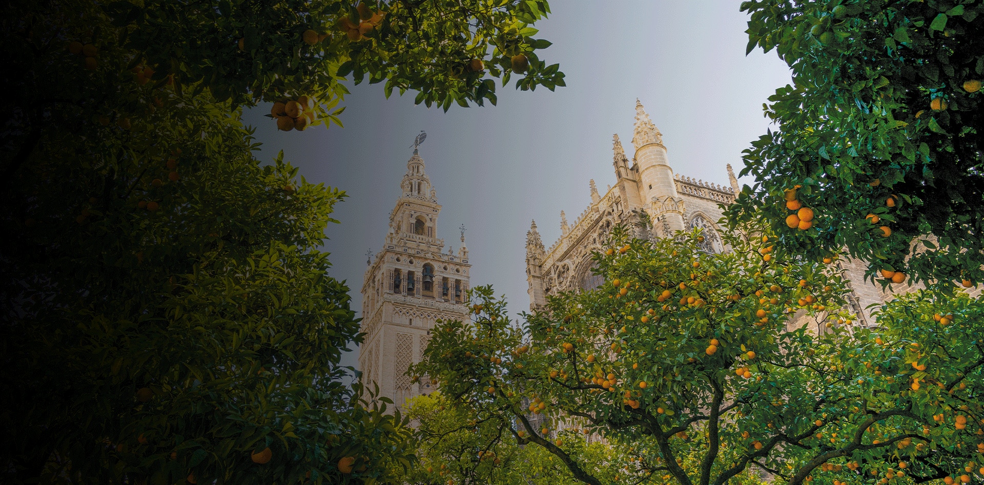 orange trees in Seville, Spain with plaza de espana views