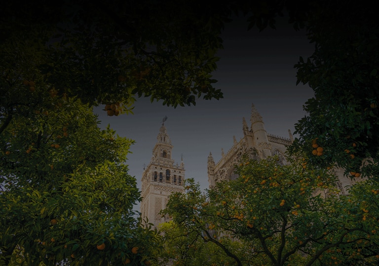 orange trees in Seville, Spain with plaza de espana views