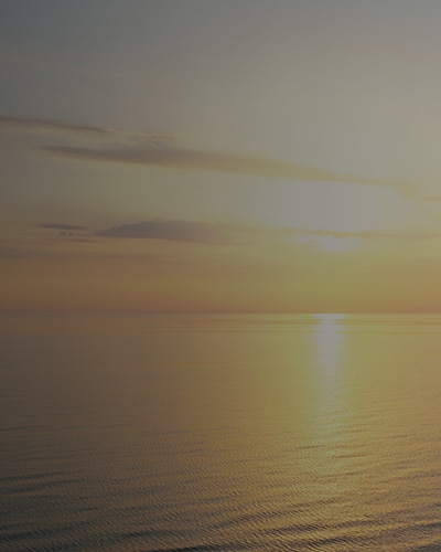 Get In Touch with Our Team