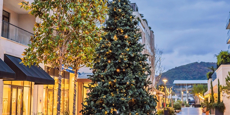 Christmas Lights & Coastal Charm in Limassol