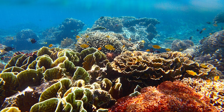 BALI (CELUKAN BAWANG), INDONESIA