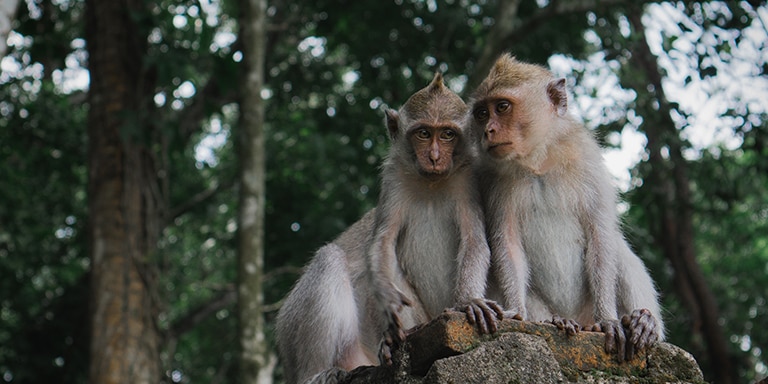 GILI MAS (LOMBOK), INDONESIA
