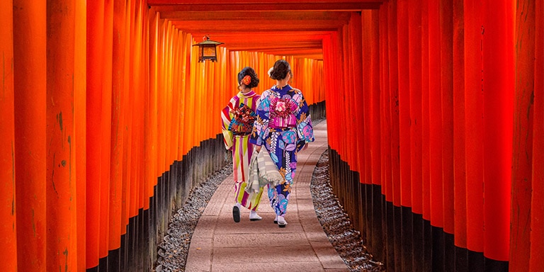 京都（日本、神戸）