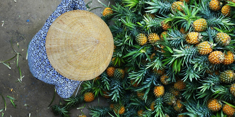 DEGUSTAÇÃO DE COMIDA ORGÂNICA SAIGONESA