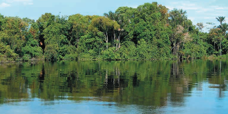 PINK DOLPHIN ADVENTURE