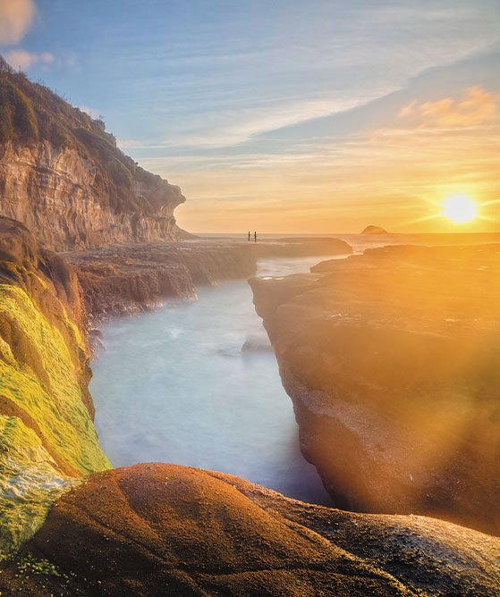 New Zealand Natural                                              Wonders