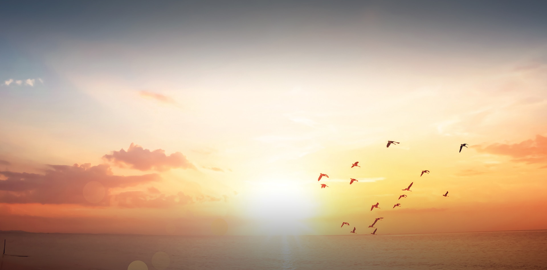 ワールドクルーズ ラグジュアリークルーズ マイアミ バルセロナ23年1月7日出航 Regent Seven Seas Cruises