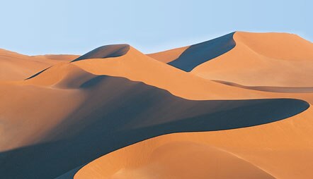 Wines, Dunes &                                              Wildlife