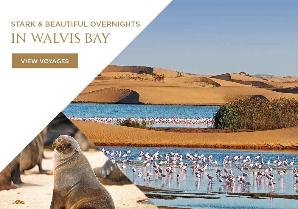 Stark & Beautiful Overnights In                            Walvis Bay