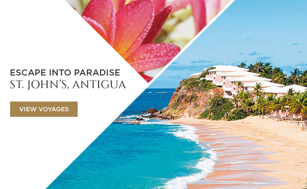 Escape Into Paradise