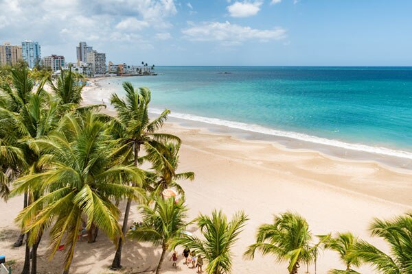Palms Of Puerto Plata