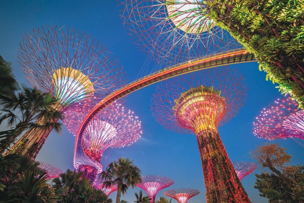 Coastal Beauties of the                                              Pacific