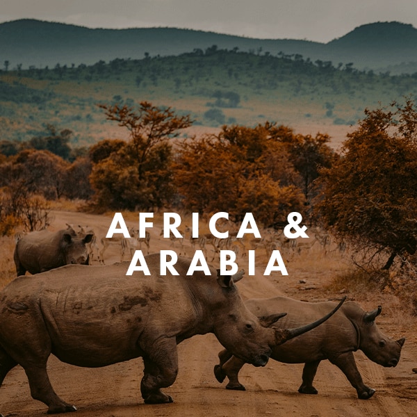 Africa & Arabia