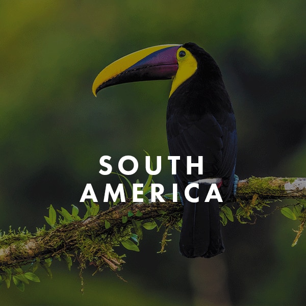 South America