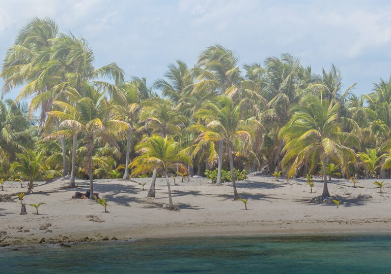 Caribbean & Panama Canal Luxury Cruise Miami to Miami on Mar 21, 2025