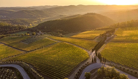  Photo Credit: Regent Seven Seas