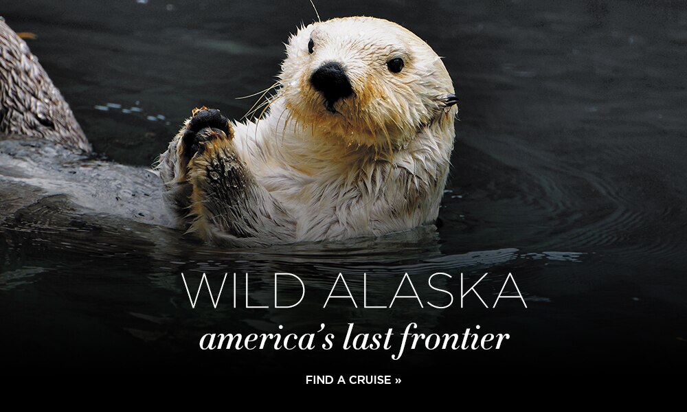 Wild Alaska | America’s Last Frontier