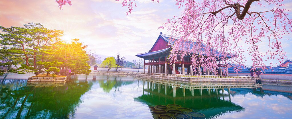 2022-2023 Voyage Collection