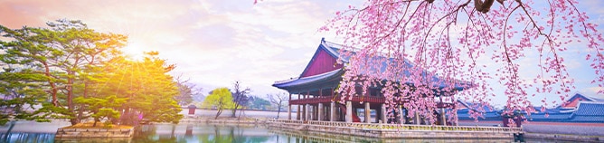 2022-2023 Voyage Collection