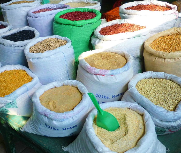 SPICE-FARM-&-BOTANICAL-GARDEN-&-ONBOARD-COOKING-CLASS_FROM-HARVEST-CAYE-BELIZE.jpg