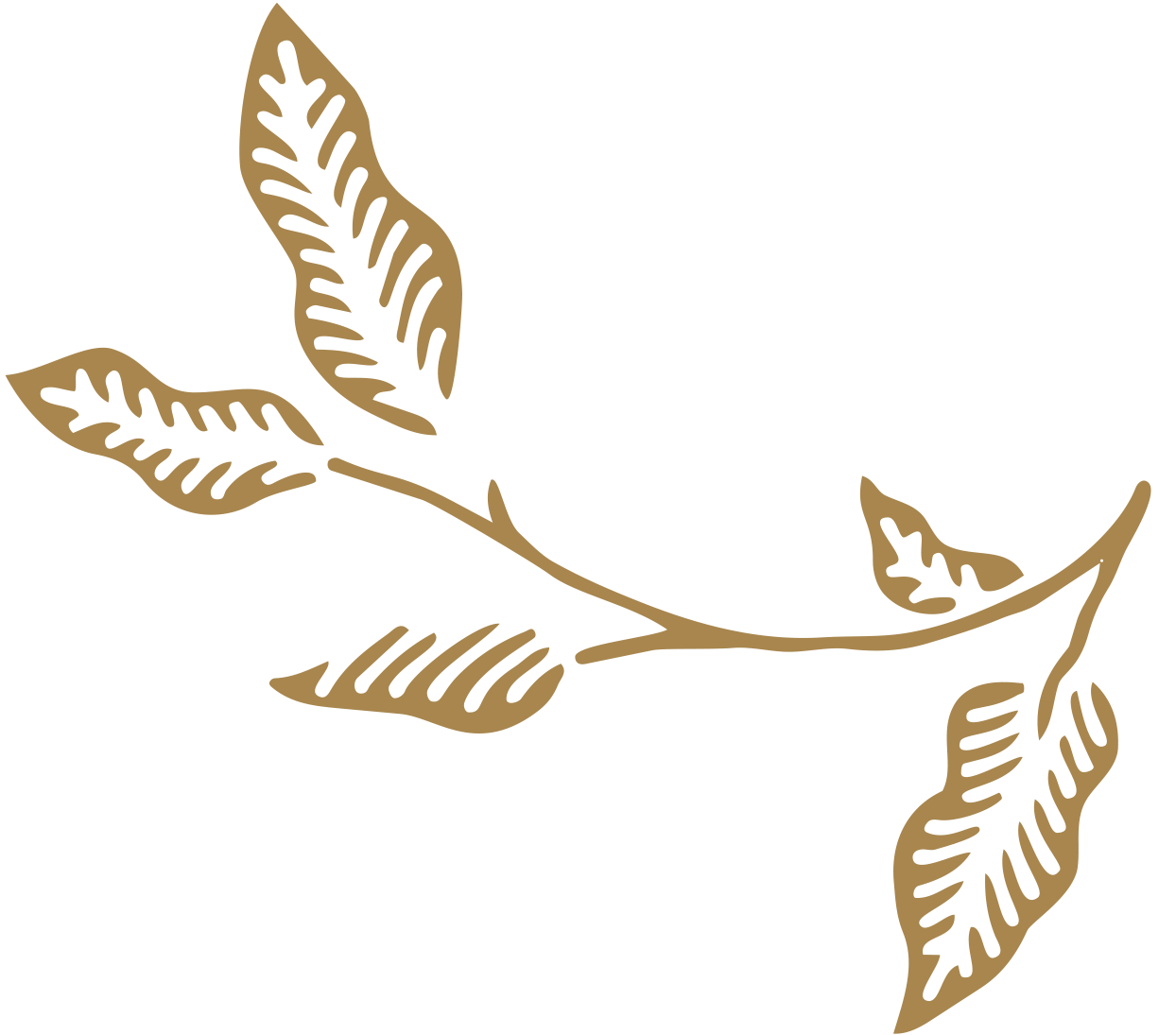 2029 World Cruise icon