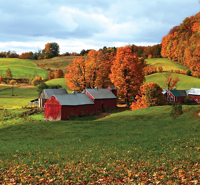 all inclusive canada and new england cruises cananda and new